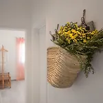 Mare Cheia Apartment
